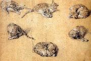 GAINSBOROUGH, Thomas Six studies of a cat oil